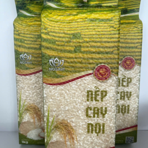 Gạo nếp Cay Nọi
