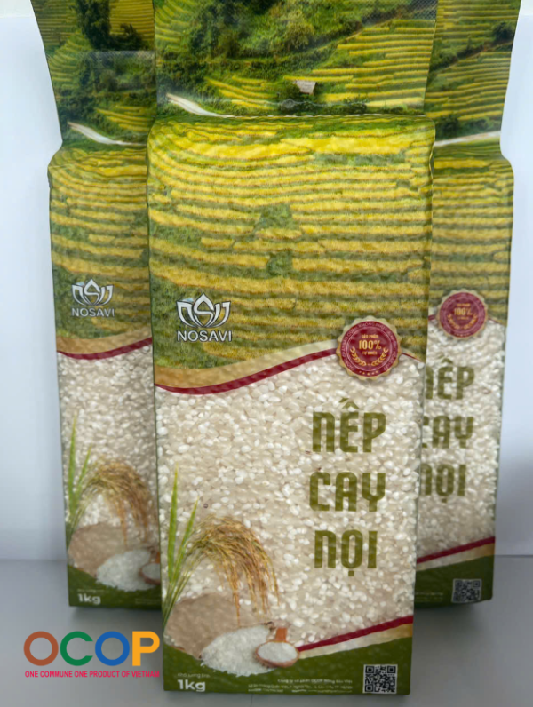 Gạo nếp Cay Nọi