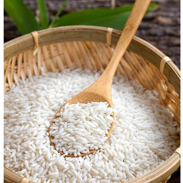 Gạo nếp Cay Nọi - Hình ảnh 2